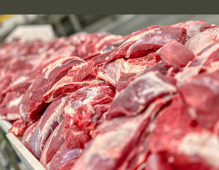 «آسیا» بزرگترین تولیدکننده گوشت خالص در جهان