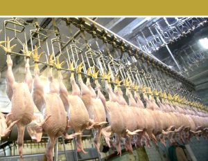 یک چهارم تولید مرغ باید در سبد صادرات قرار بگیرد