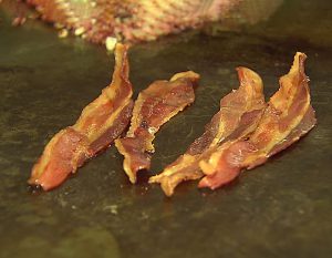 افزایش قیمت بیکن در سراسر ایالات متحده