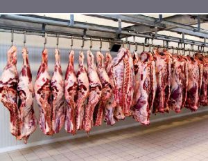 سود بازرگانی واردات دام و گوشت صفر شد