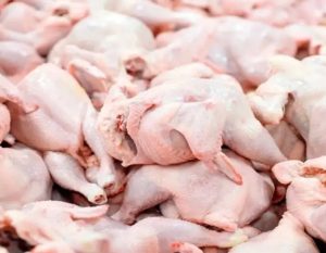 تولید ماهانه گوشت مرغ از ۳۰۰ هزارتن فراتر رفت