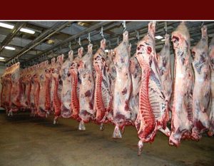 کاهش ۱۰ درصدی ارزش ناخالص اسمی تولید دام