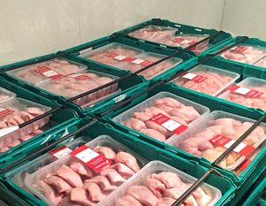 جهادکشاورزی مجوز صادرات مرغ نمی‌دهد/ روس‌ها تخم مرغ ایرانی را پسندیدند