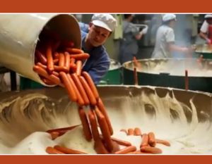 هات داگ چگونه در کارخانه تولید می شود؟ (فیلم)