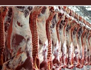 مشکلات توزیع گوشت و فرآورده‌های خام دامی بزودی برطرف می‌شود