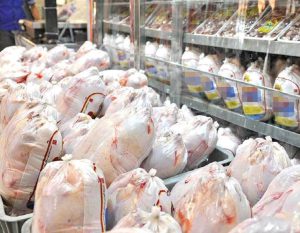 پیش‌بینی صادرات ۵۰ هزارتن مرغ تا پایان سال