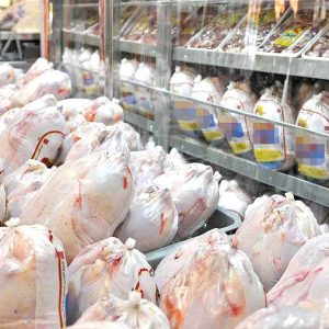 مرغ با نرخ مصوب در حال عرضه است/ بازار مرغ متعادل است